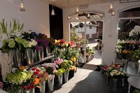 The flower Studio 285650 Image 1